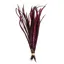 Whiting Schlappen Bundle 6-10 in Grizzly Burgundy