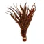 Whiting Schlappen Bundle 6-10 in Burnt Orange
