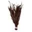Whiting Schlappen Bundle 6-10 in Grizzly Coachman Brown