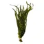 Whiting Schlappen Bundle 6-10 in Grizzly Fl.Yellow Chartreuse