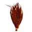 Whiting Schlappen Bundle 6-10 in Grizzly Orange