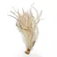 Whiting Schlappen Bundle 6-10 in White