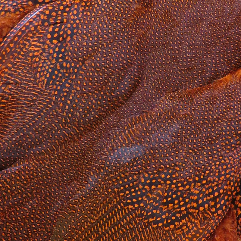 Whiting Farms Large Monster Guinea Fowl Skins-3