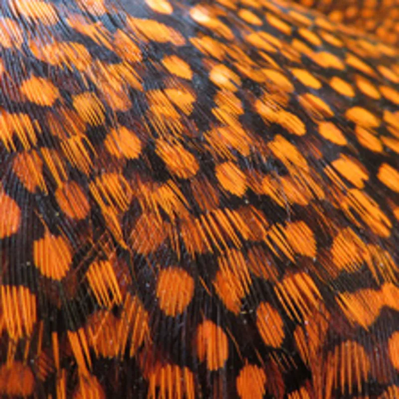 Whiting Farms Large Monster Guinea Fowl Skins