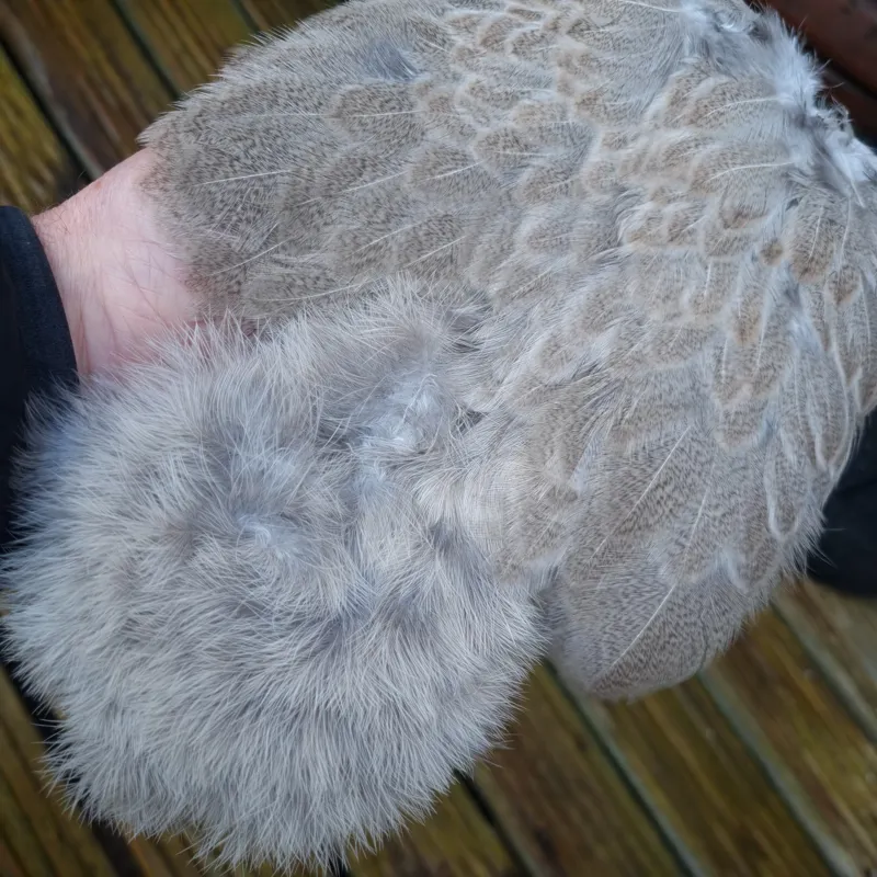 Whiting Brahma Hen Soft Hackle with Chickabou in Natural Mottled Wild Type C