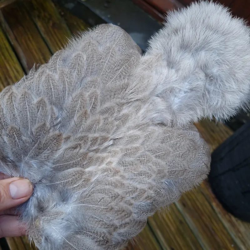 Whiting Brahma Hen Soft Hackle with Chickabou in Natural Mottled Wild Type C-1