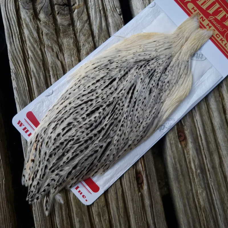 Whiting Hen Cape in Unique Variant  B Cream/ Salt and Pepper/Silver Badger