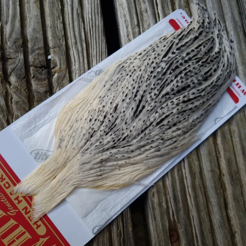 Whiting Hen Cape in Unique Variant  B Cream/ Salt and Pepper/Silver Badger-1