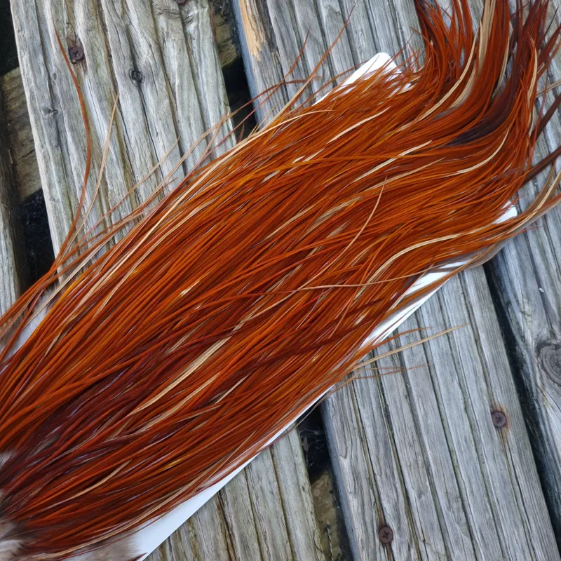 Whiting Heritage Hackles Rooster Saddle in Mixed Colours X Light to Dark Red Game Approx Tying Size 12/14/16/18-5