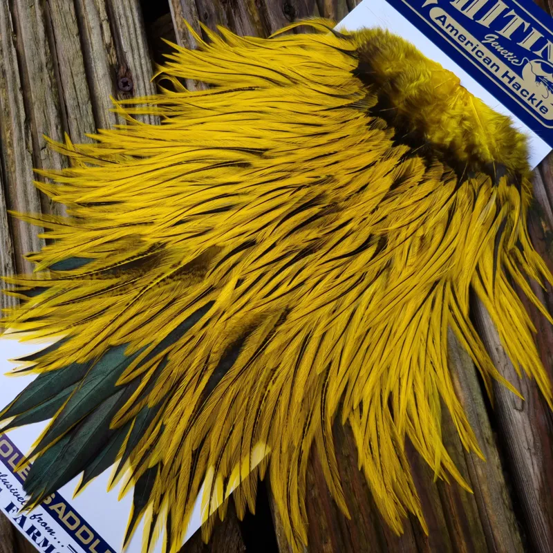Whiting American Rooster Saddle in Silver Badger Dyed Yellow