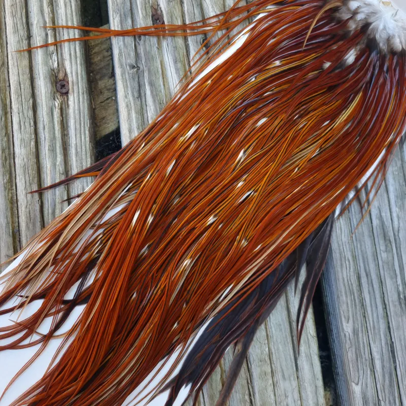 Whiting Heritage Hackles Rooster Saddle in Mixed Colours Y Furnace/Red Game Approx Tying Size 10/12/14-4