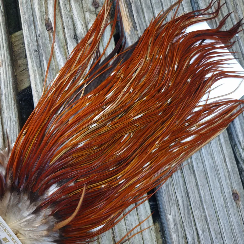 Whiting Heritage Hackles Rooster Saddle in Mixed Colours Y Furnace/Red Game Approx Tying Size 10/12/14-5
