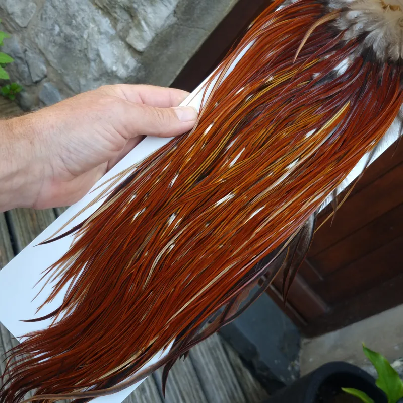 Whiting Heritage Hackles Rooster Saddle in Mixed Colours Y Furnace/Red Game Approx Tying Size 10/12/14-6