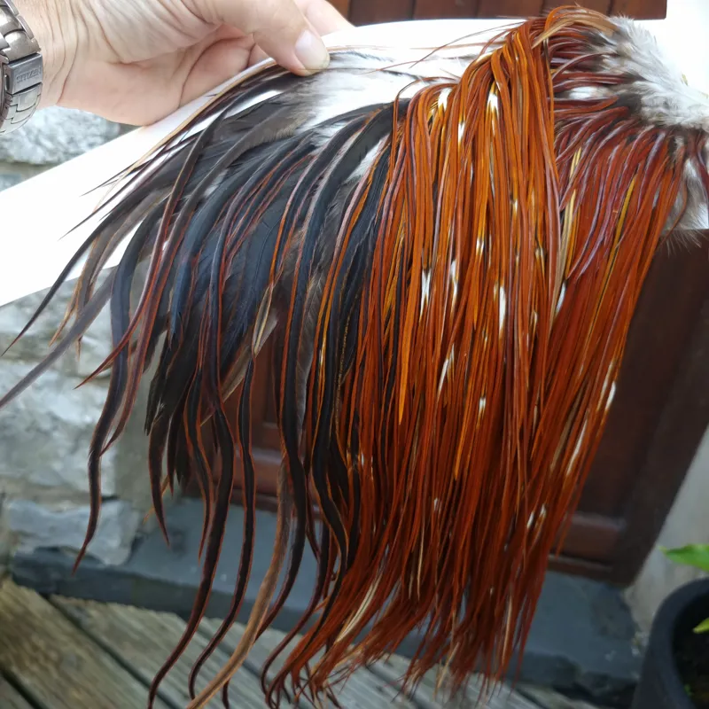 Whiting Heritage Hackles Rooster Saddle in Mixed Colours Y Furnace/Red Game Approx Tying Size 10/12/14-1