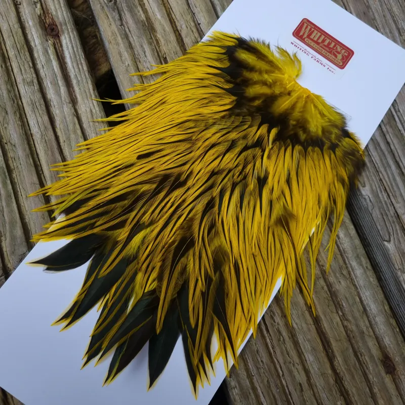 Whiting Brahma Rooster Saddle in Silver Badger Dyed Yellow-1