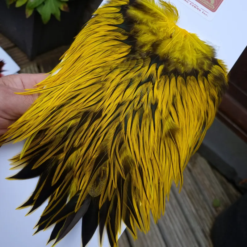 Whiting Brahma Rooster Saddle in Silver Badger Dyed Yellow-6