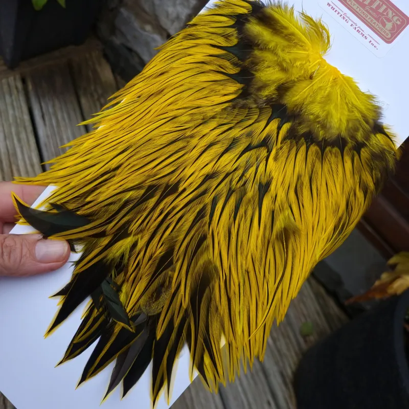 Whiting Brahma Rooster Saddle in Silver Badger Dyed Yellow-4