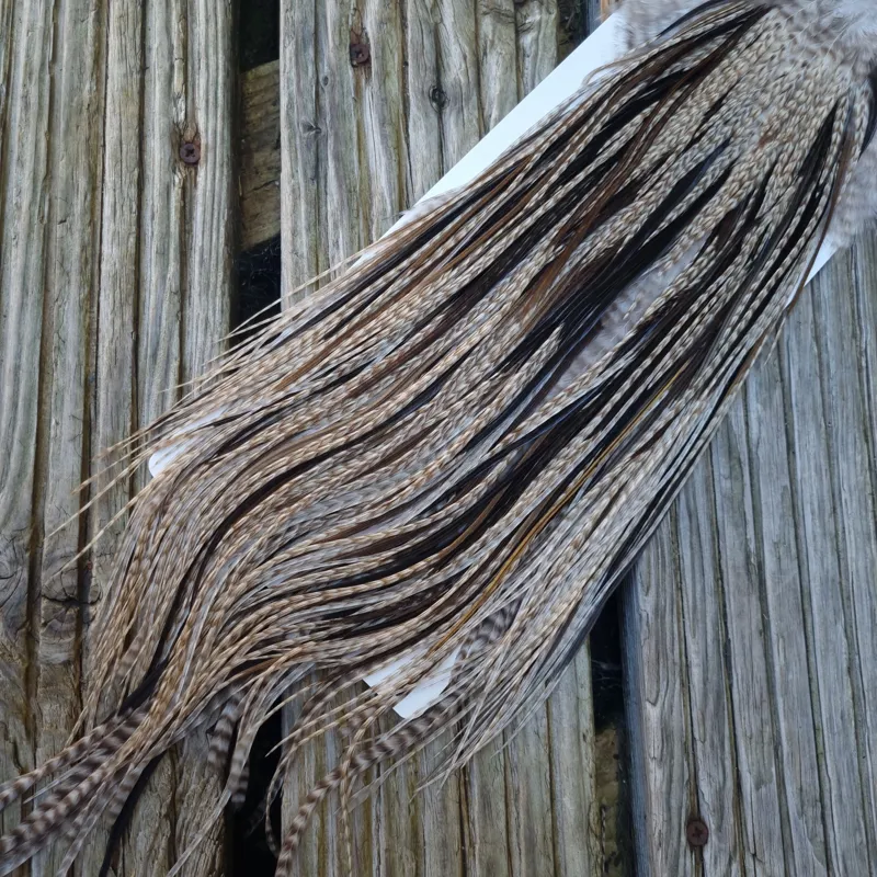 Whiting Heritage Hackles Rooster Saddle in Mixed Colours Z  Dun Grizzly/Natural Black/Natural Brown Dun/Dark Brown Dun Approx Tying Size 10/12/14-4