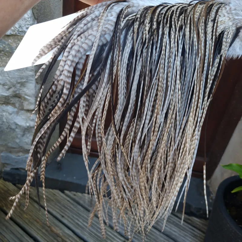 Whiting Heritage Hackles Rooster Saddle in Mixed Colours Z  Dun Grizzly/Natural Black/Natural Brown Dun/Dark Brown Dun Approx Tying Size 10/12/14