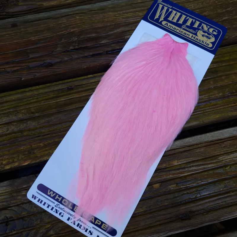 Whiting American Rooster Cape in Shell Pink