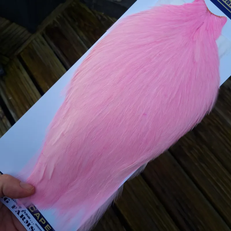 Whiting American Rooster Cape in Shell Pink-3