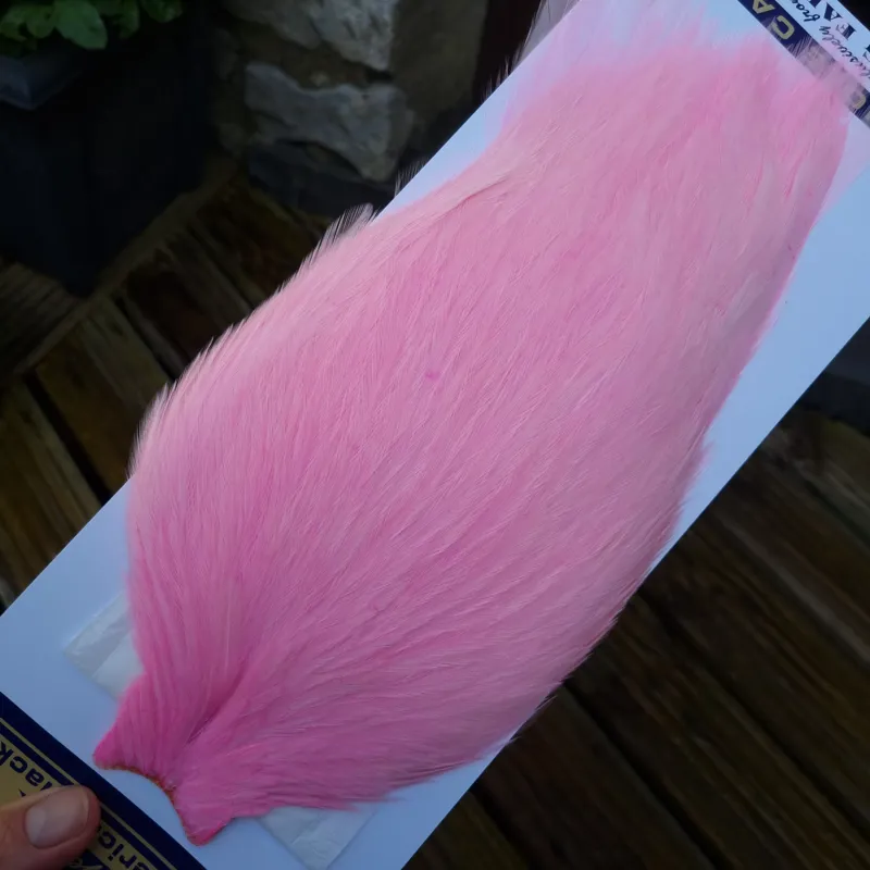 Whiting American Rooster Cape in Shell Pink-4