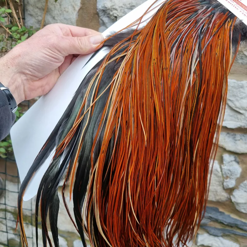 Whiting Silver Grade Rooster Saddle in Furnace A Tying approx a few 12 and lots of 14 16 with some 18