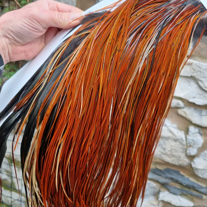 Whiting Silver Grade Rooster Saddle in Furnace A Tying approx a few 12 and lots of 14 16 with some 18-2