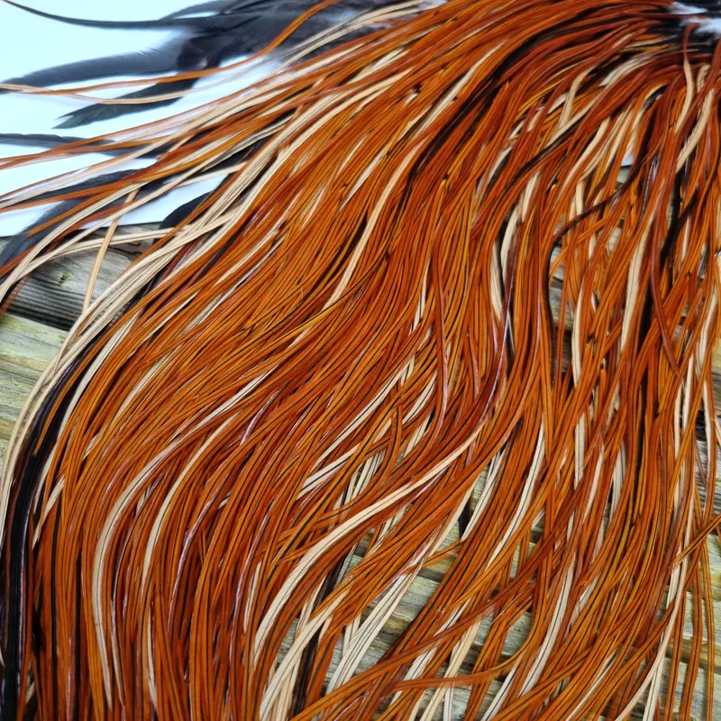 Whiting Silver Grade Rooster Saddle in Furnace B Tying Approx 12 14 16-6