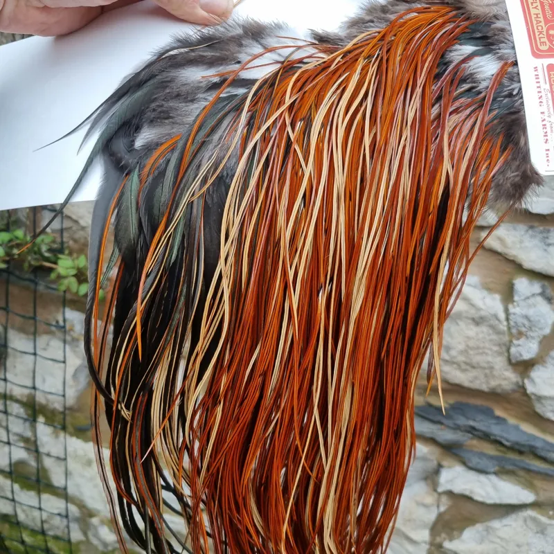 Whiting Silver Grade Rooster Saddle in Furnace B Tying Approx 12 14 16