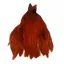 Whiting Exclusive Hen Cape in Fiery Brown